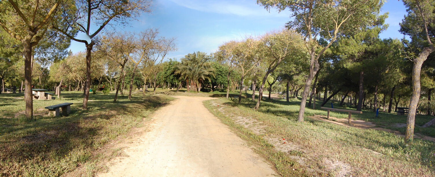 Archivo parque San Benito