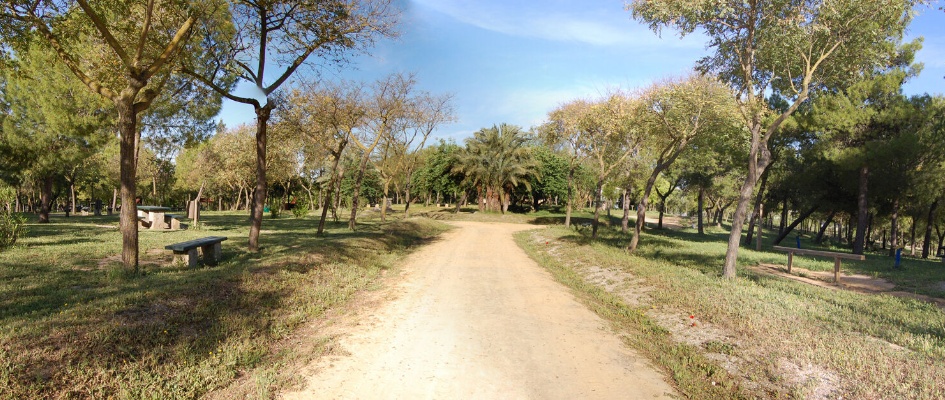 Archivo parque San Benito