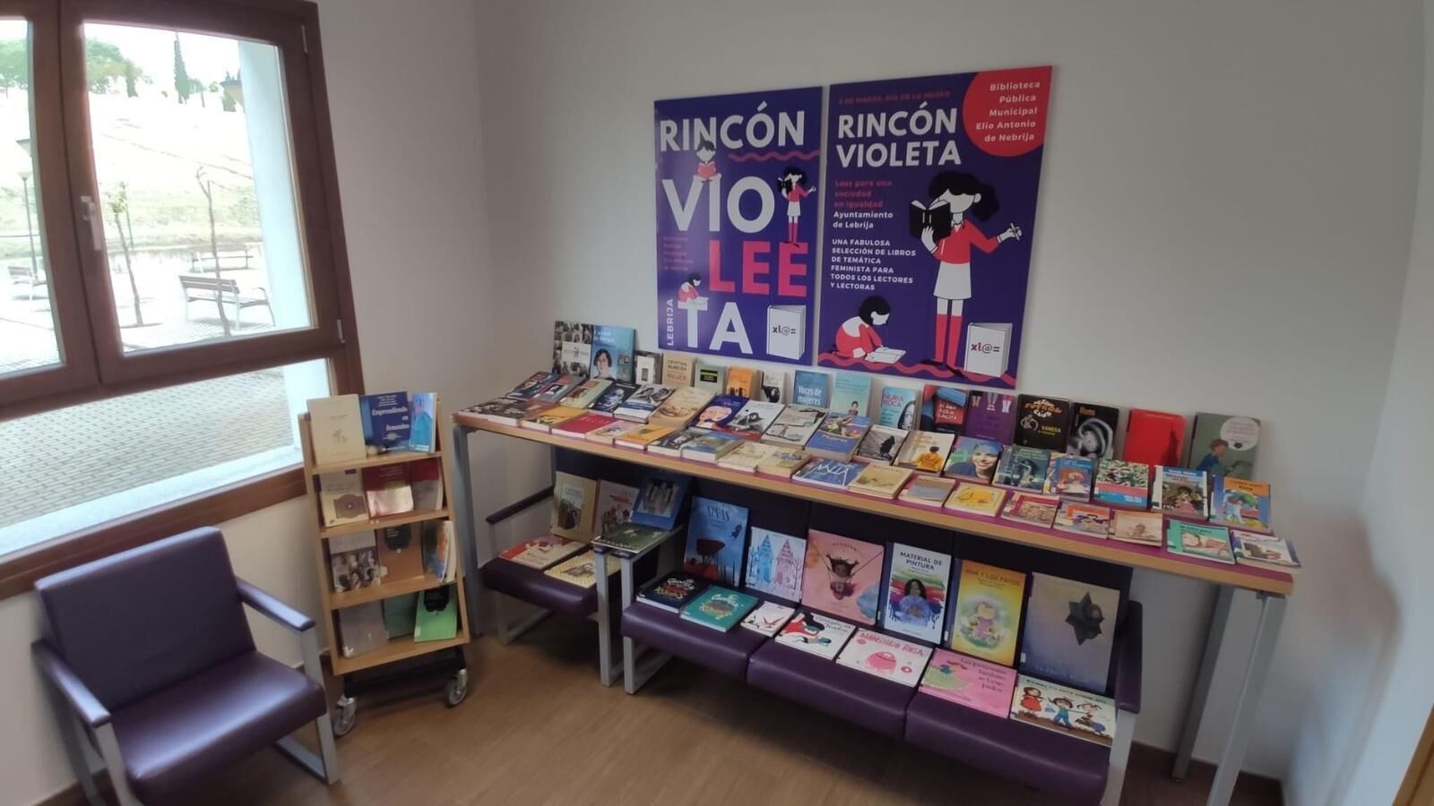 Rincón Violeta Biblioteca (2)