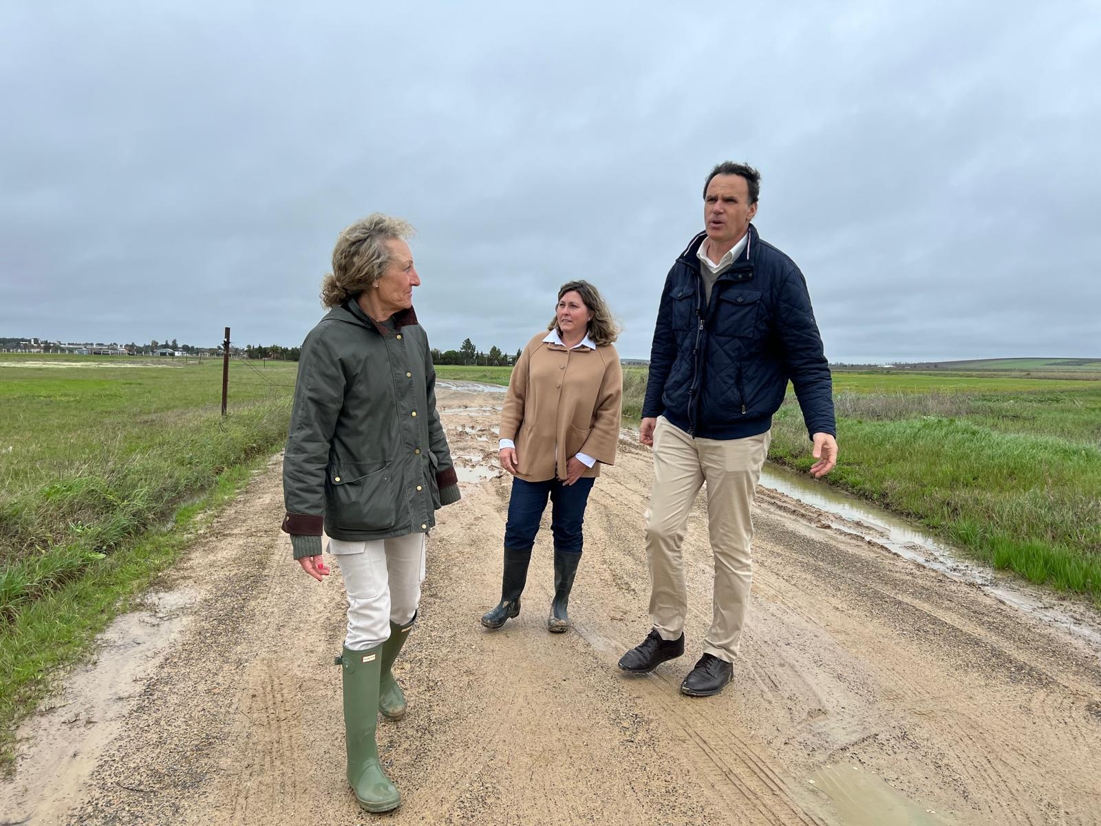 90226 - AYUDASGOB TEMPORAL 2