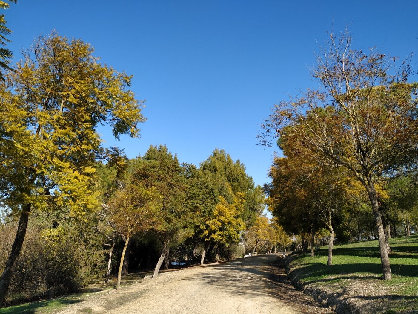 Nuevo horario de otoño en el parque de San Benito y el complejo El Fontanal