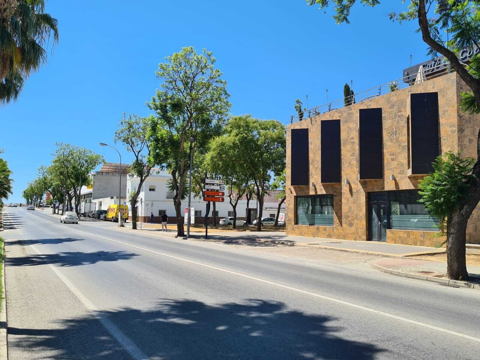 Avenida Juan Peña El Lebrijano