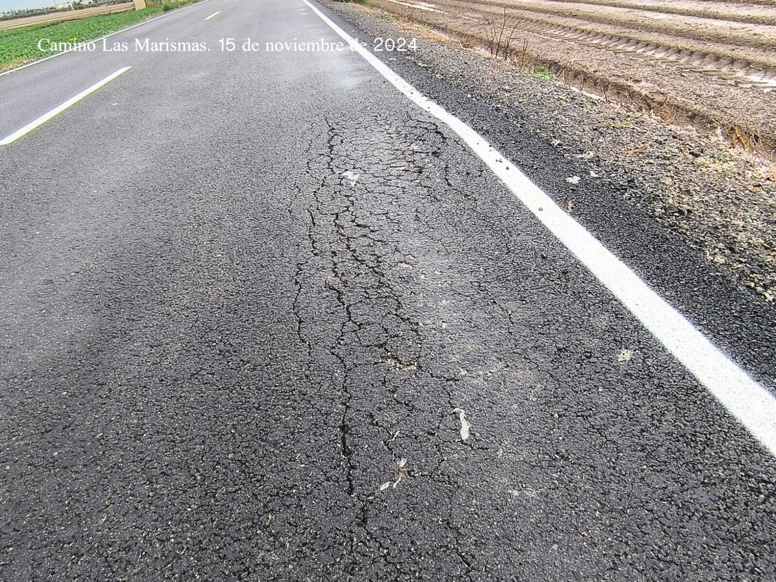 Camino Las Marismas - 15 nov 24 (2)