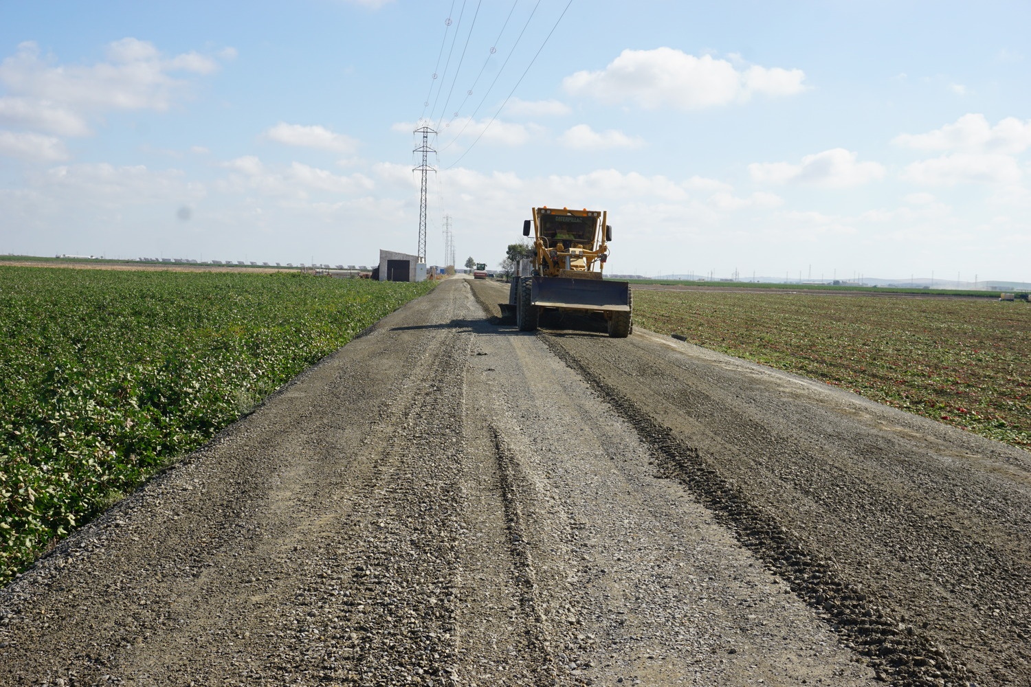 Camino Las Marismas (2)