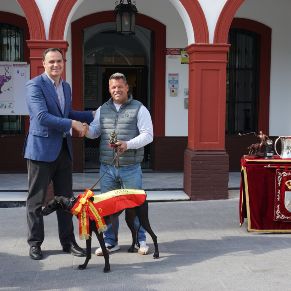 Campeona de España  (9)