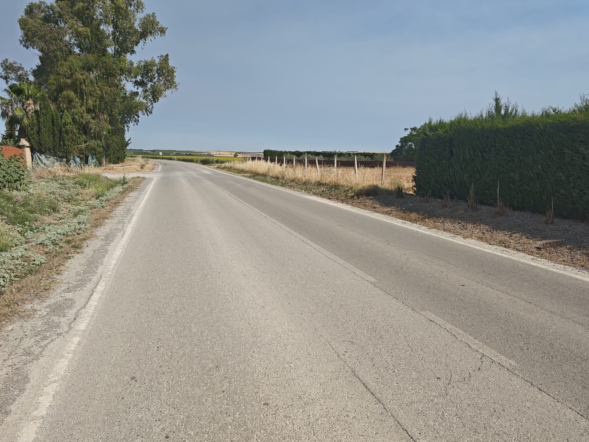 Carretera SE6300 Lebrija (1)