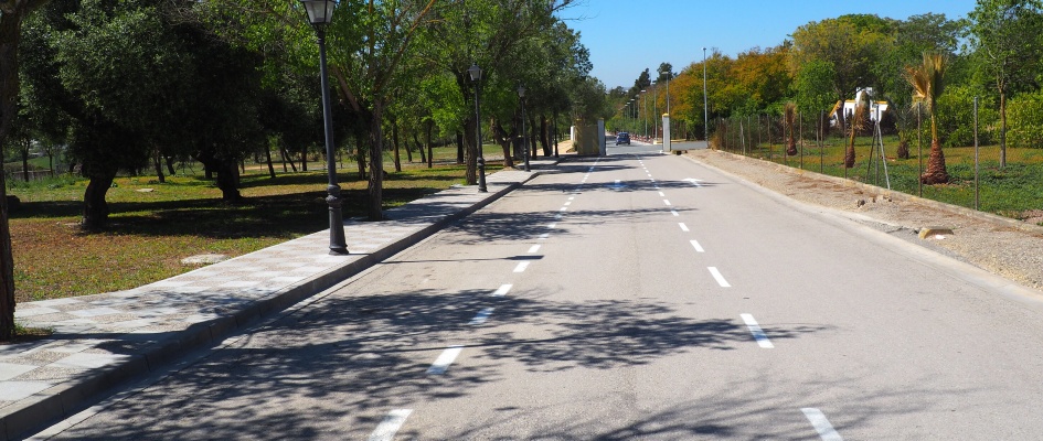 Cementerio Municipal de San Benito (2)