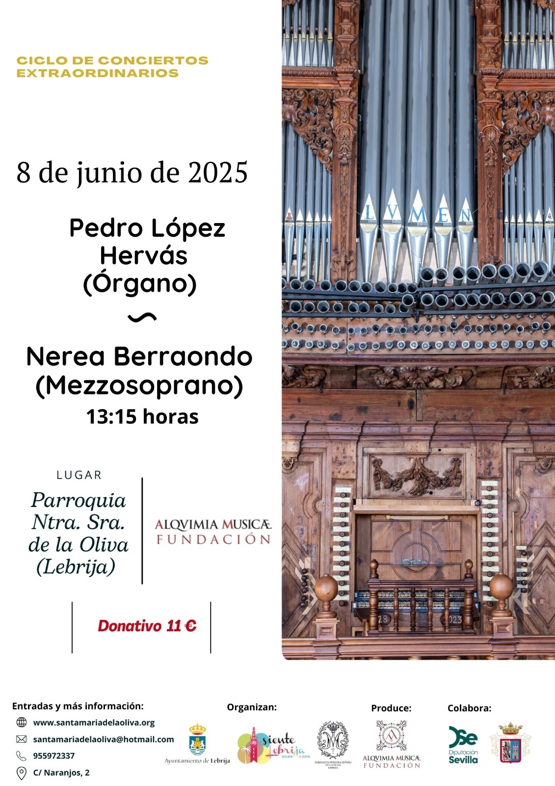 Concierto órgano - 8 junio (2)