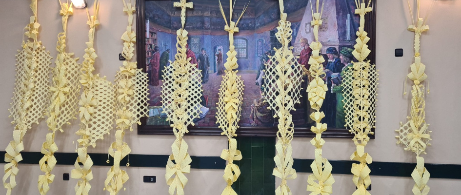 Curso de palmas rizadas