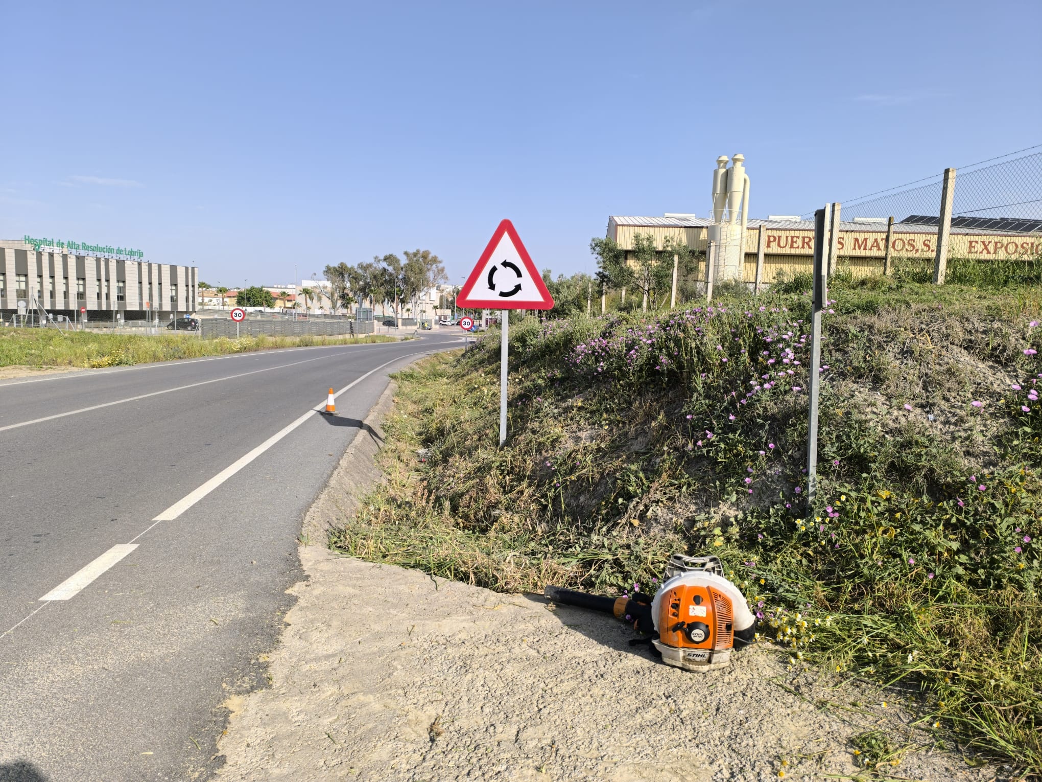 Desbrozado carretera Chare (4)