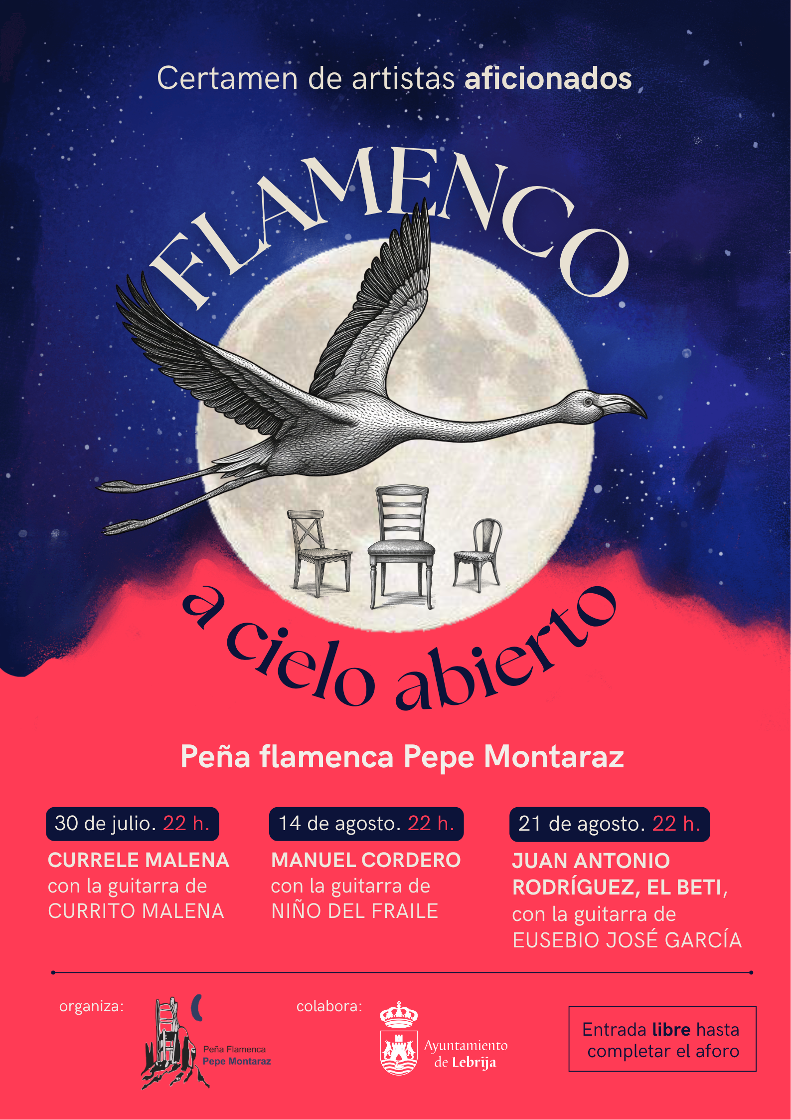 FLAMENCO A CIELO ABIERTO 2026 (4)