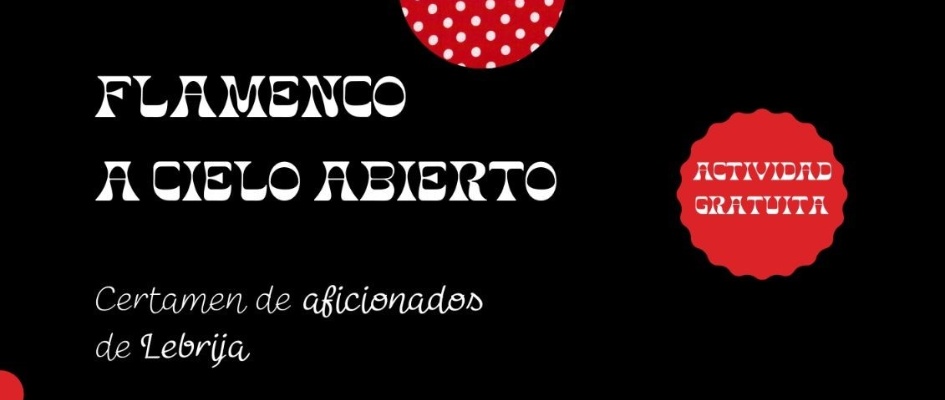 Flamenco A cielo abierto - portada