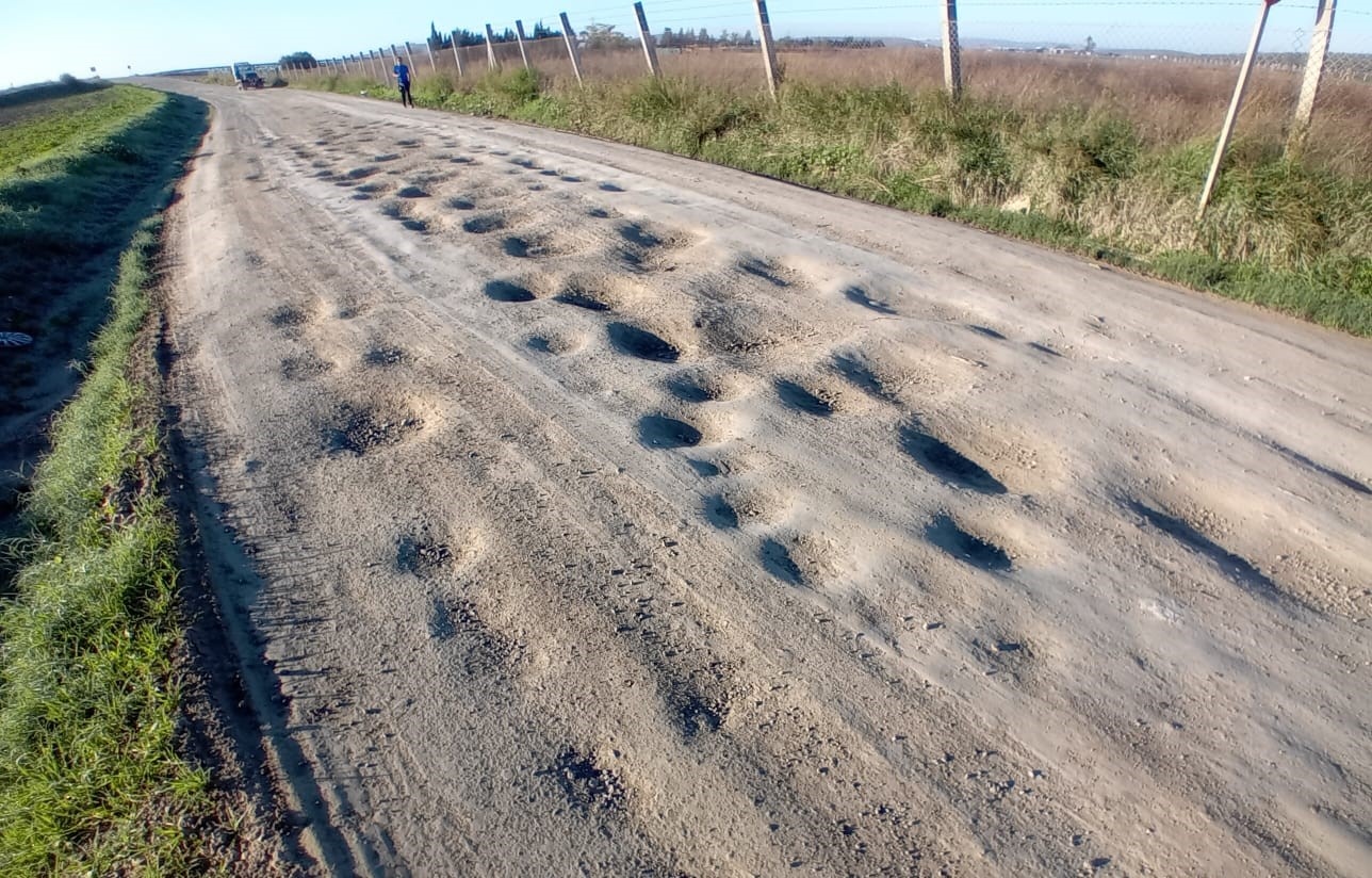 Foto archivo - Camino del Aceituno