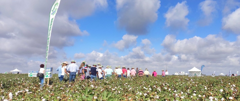 IX edición Expoalgodón (6)