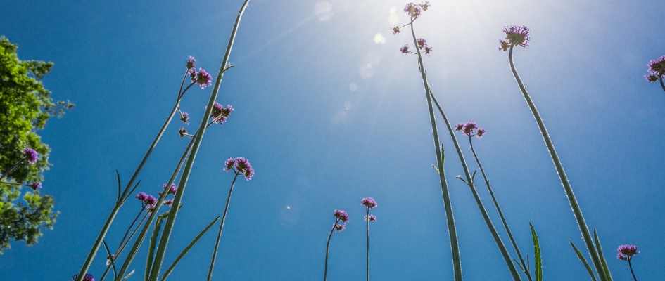 Imagen archivo - día soleado
