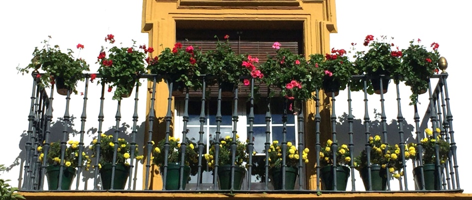 Imagen fachada Lebrija archivo