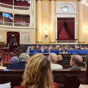 Jornada Elio Antonio de Nebrija - Senado (4)