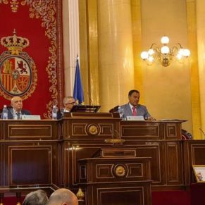 Jornada Elio Antonio de Nebrija - Senado (6)