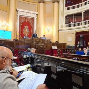 Jornada Elio Antonio de Nebrija - Senado (7)