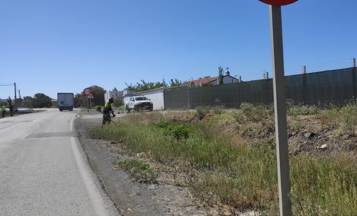 Limpieza y desbrozado cunetas - sept 2024 (2)