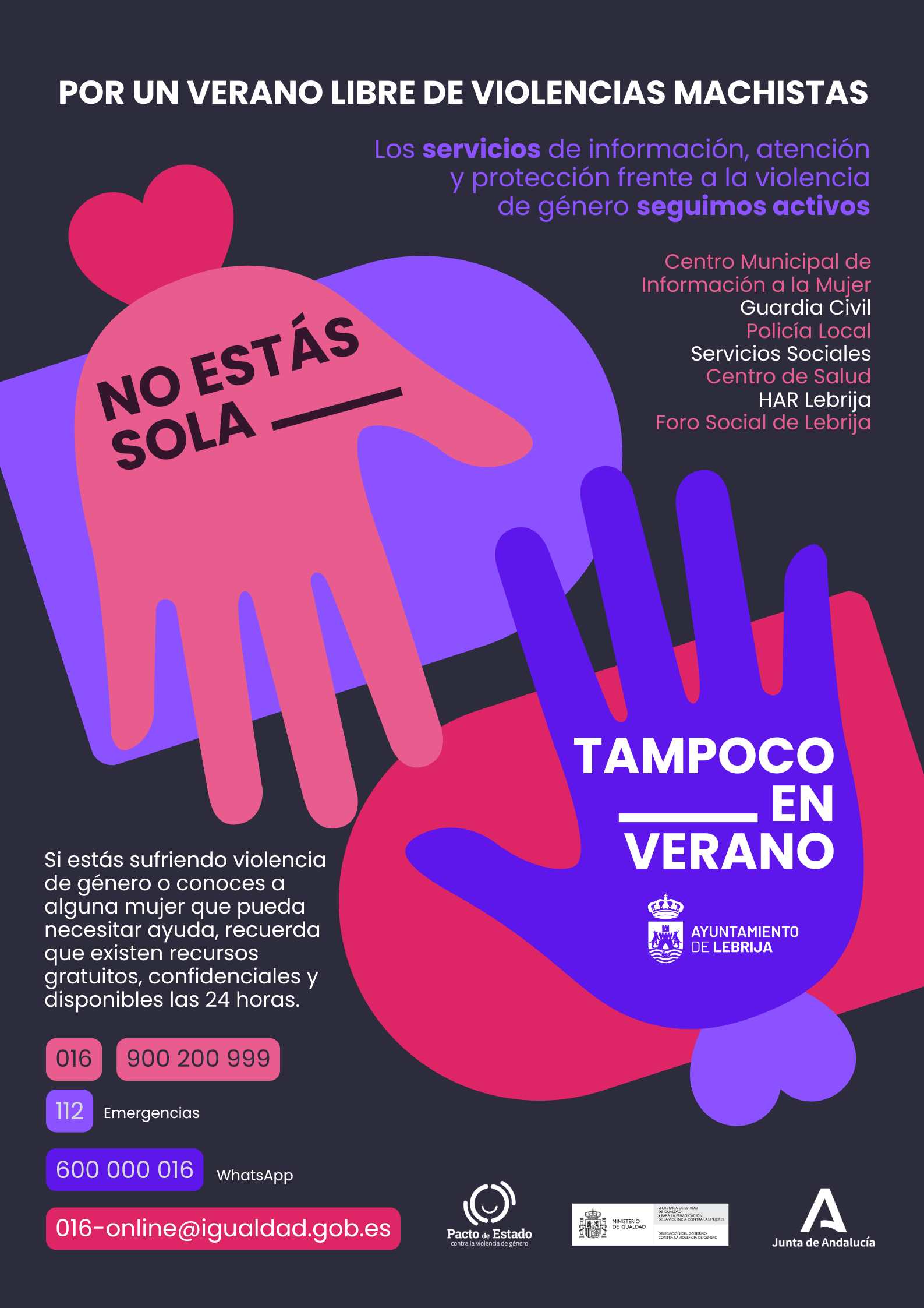NO ESTÁS SOLA CARTEL PNG