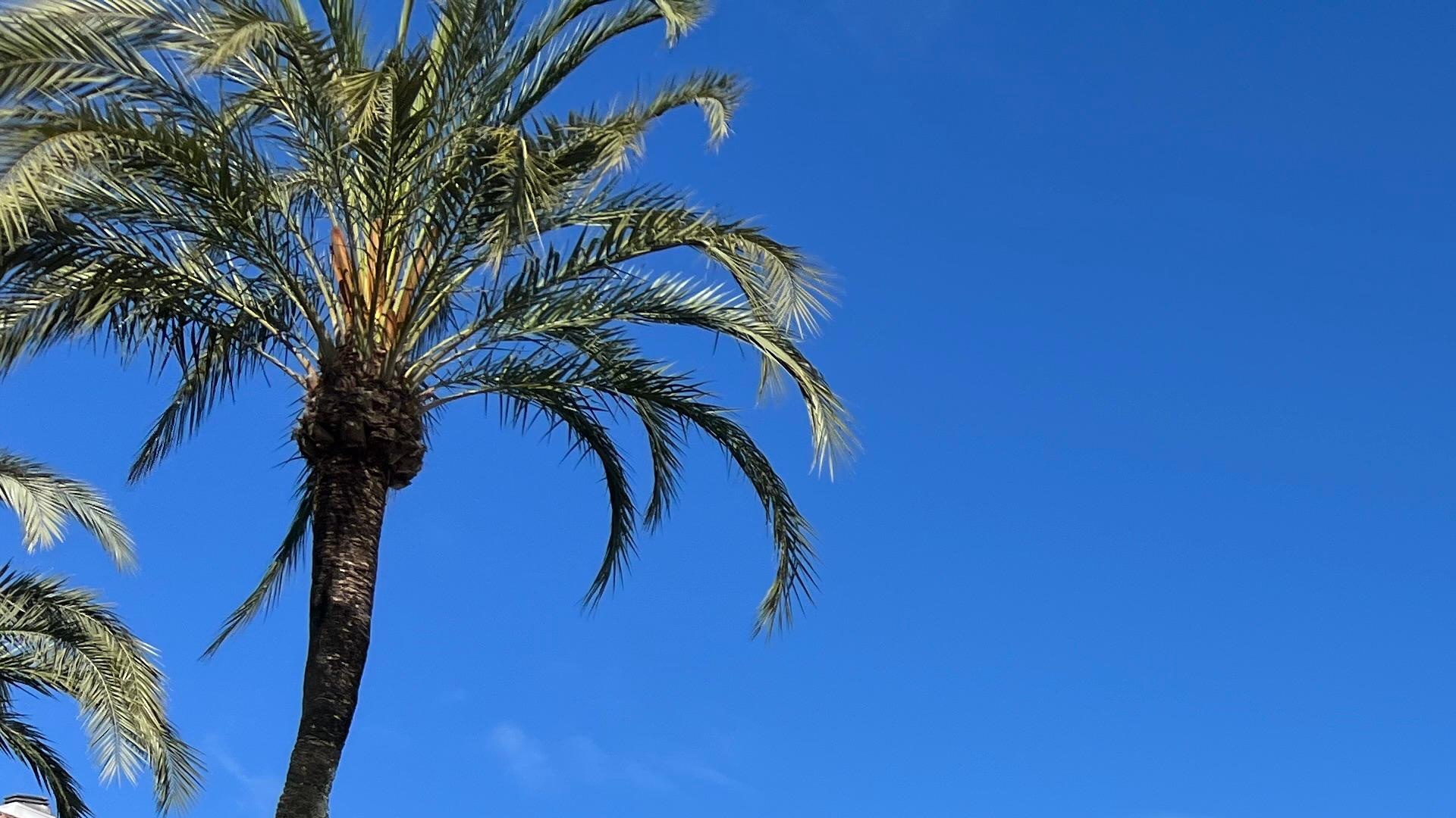 El Ayuntamiento amplía en dos horas el horario de cierre de los establecimientos públicos durante la Semana Santa 2026