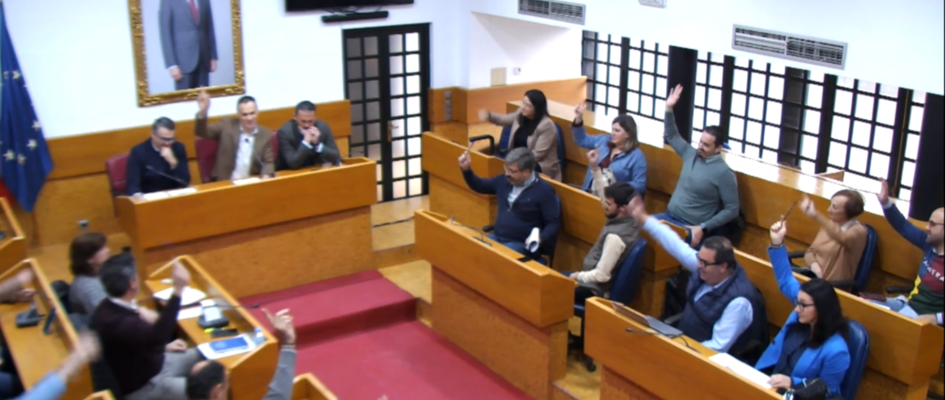 Pleno Extraordinario aprobación PAI