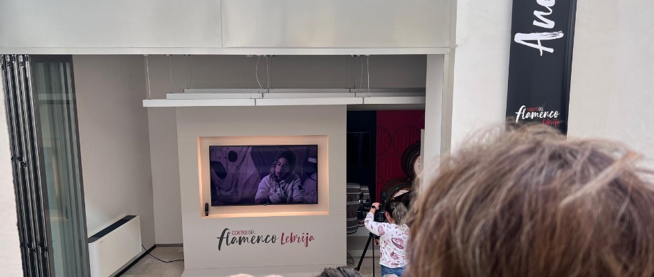 Presentación documental mural Centro Flamenco - feb 25 (3)