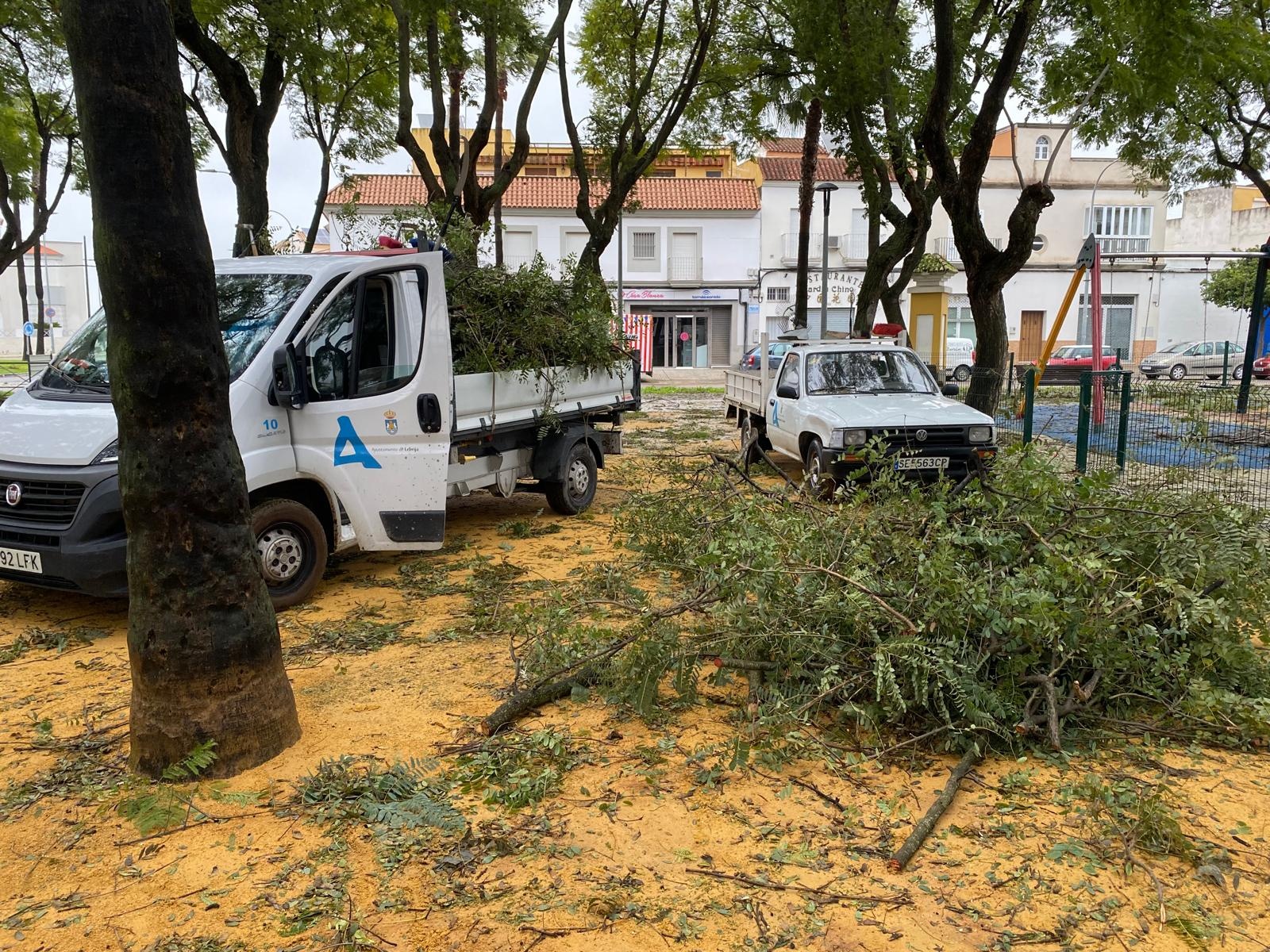 Retierada ramas temporal enero 26 (1)