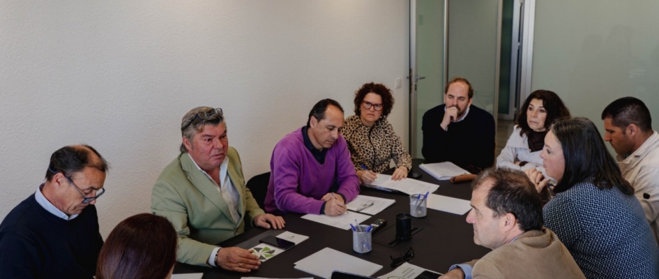 Reunión vivienda pública - Diputación de Sevilla (2)