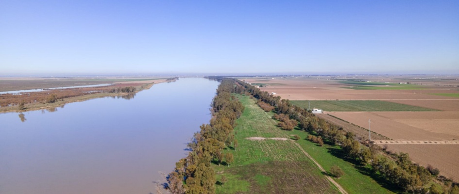 Río Guadalquivir - Lebrija 25
