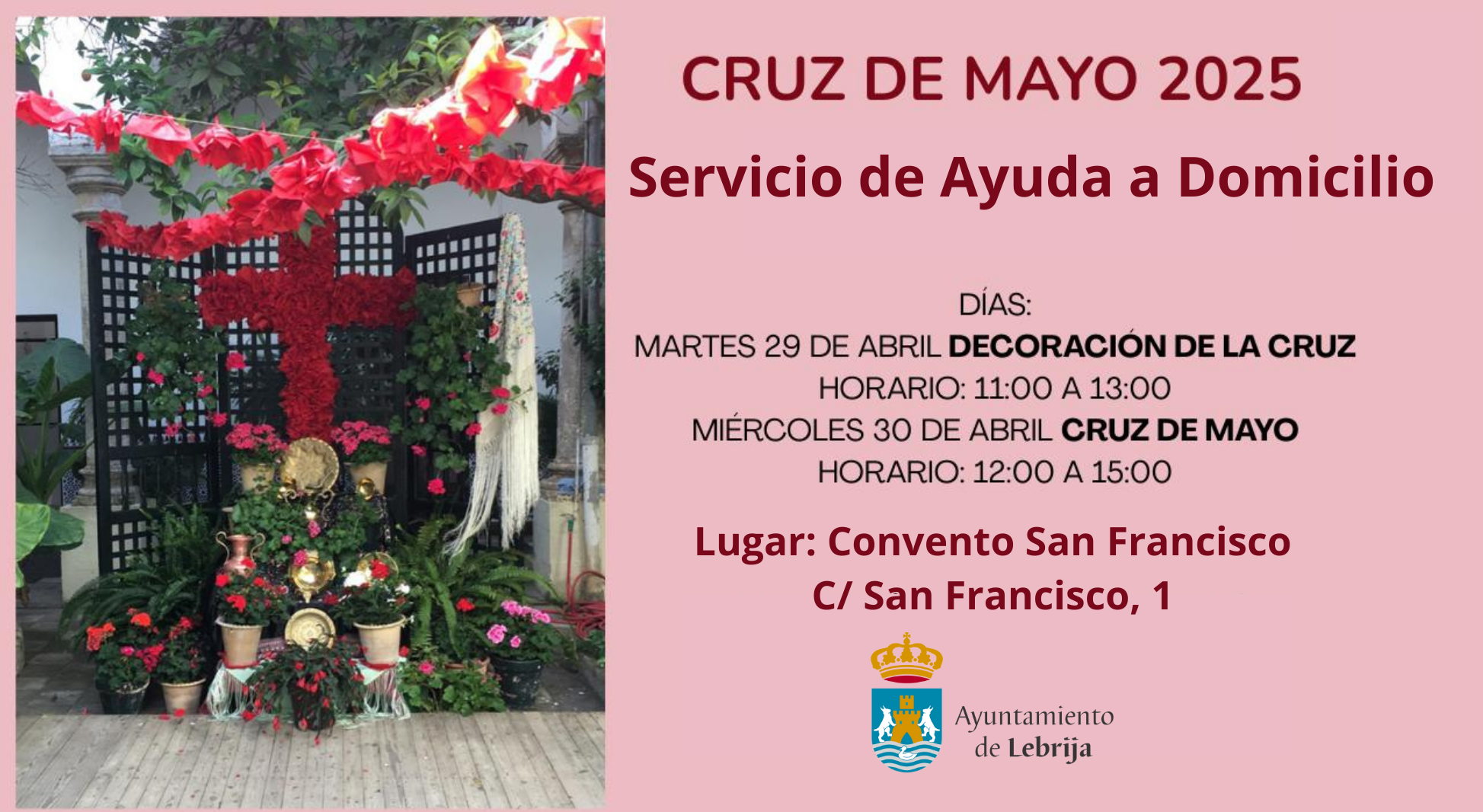 Servicio de Ayuda a Domicilio (1)