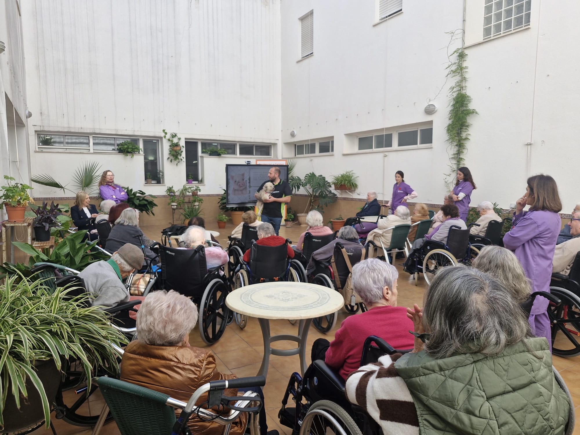 Taller Bienestar Animal - Residencia Caridad (2)