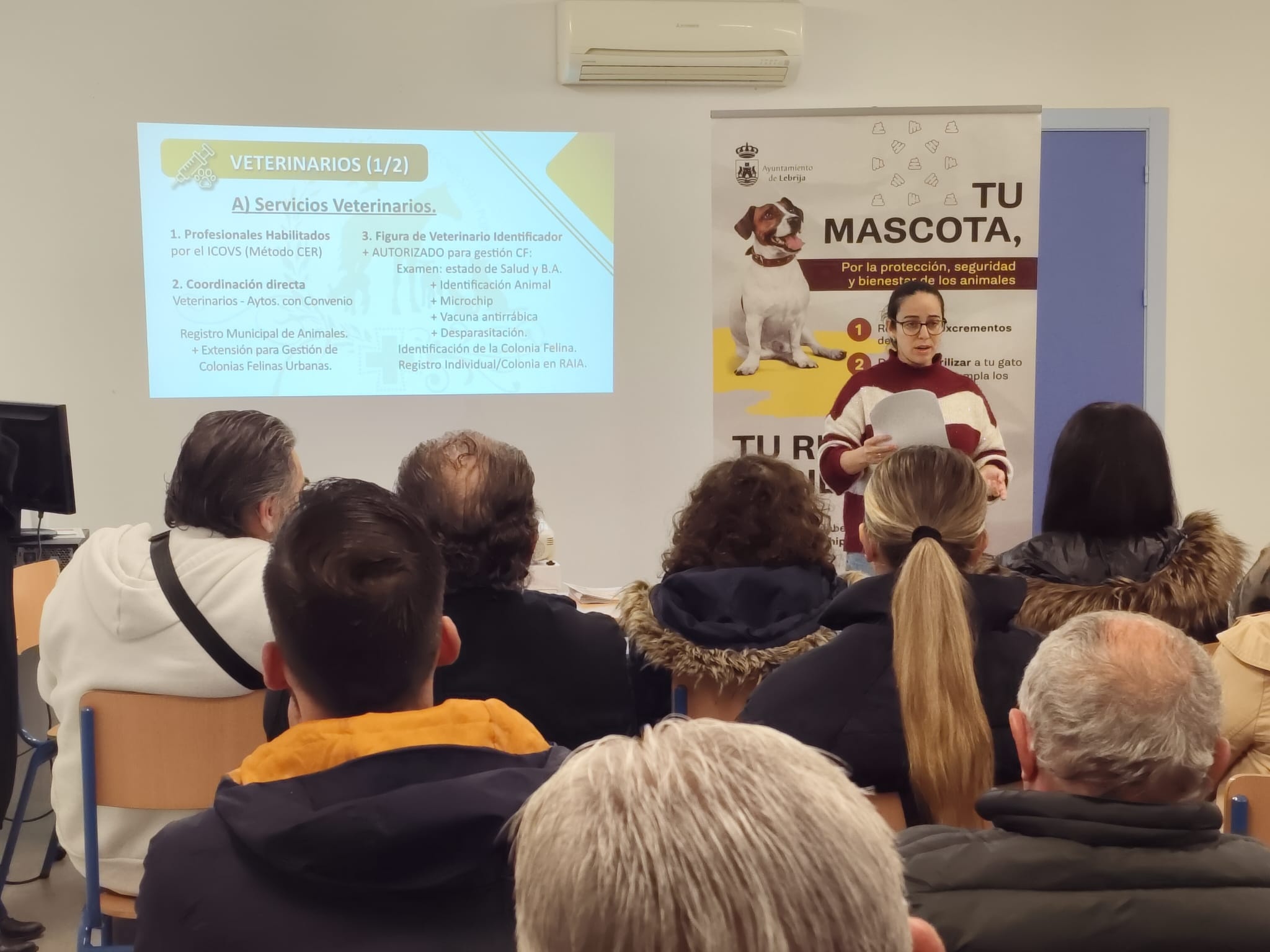 Taller alimentadores (1)