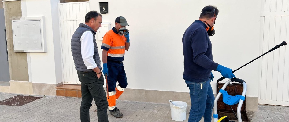 Tratamientos preventivos - mayo 26