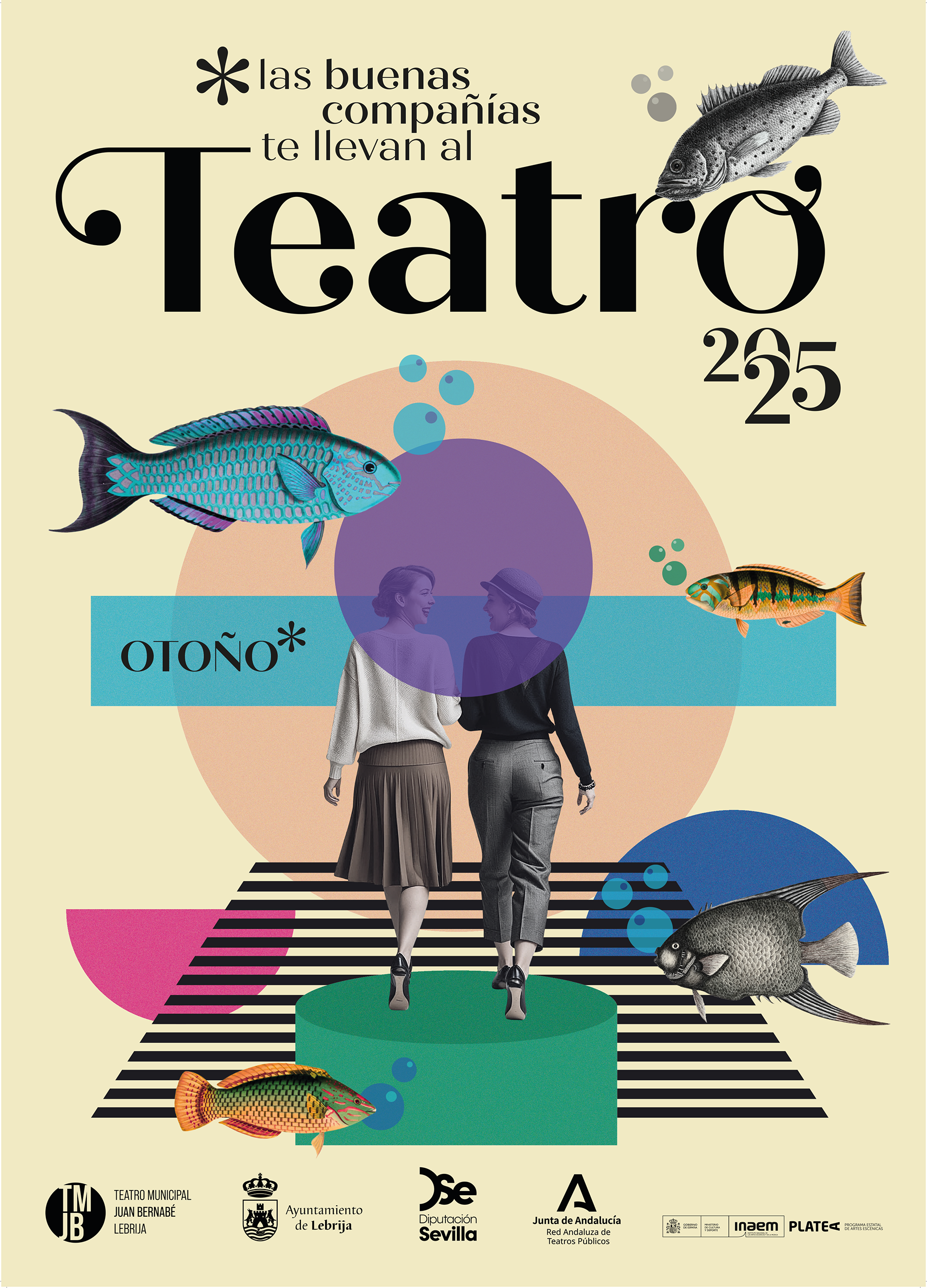 WEB OFICIAL TMJB OTONO25