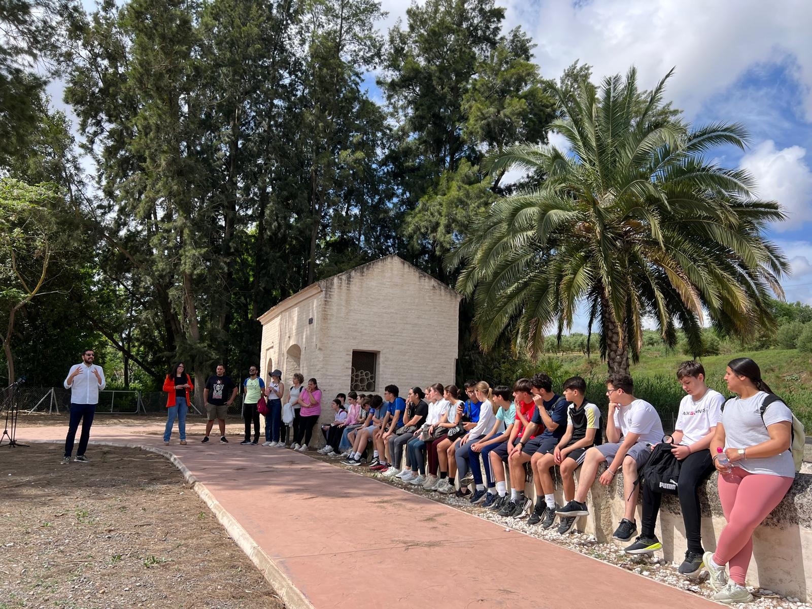 Yacimiento arqueológico El Fontanal (3)
