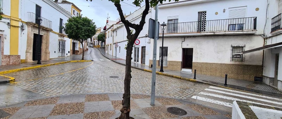 calle José Sánchez de Alva - Lebrija (1)