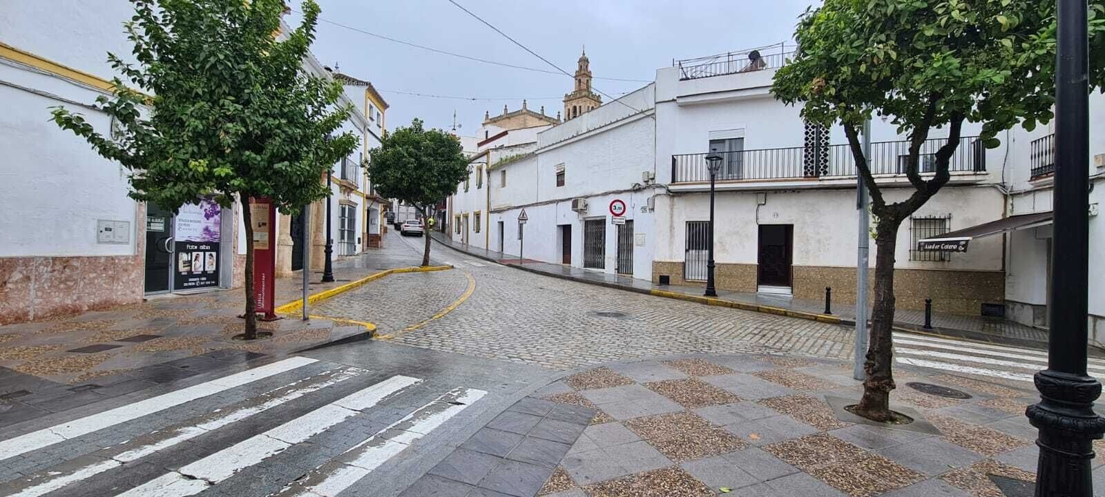 calle José Sánchez de Alva - Lebrija (2)