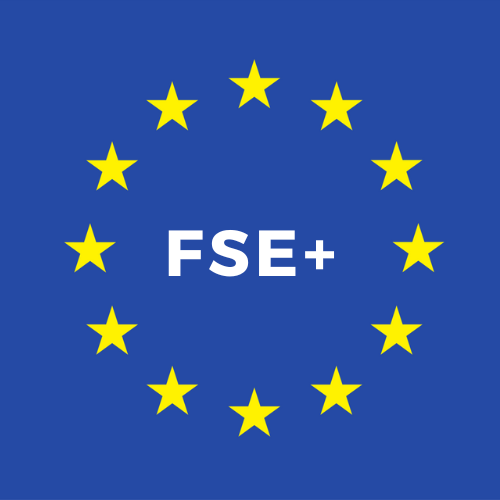 logo FSE